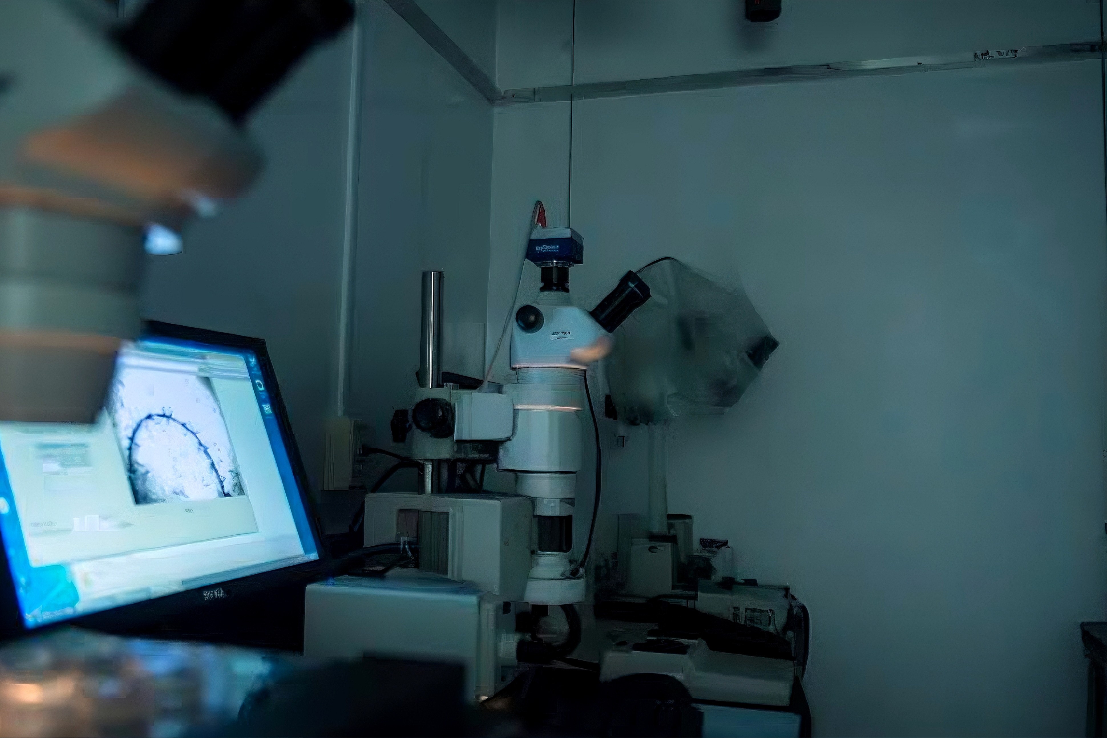 Polymer and Nanoparticles Synthesis